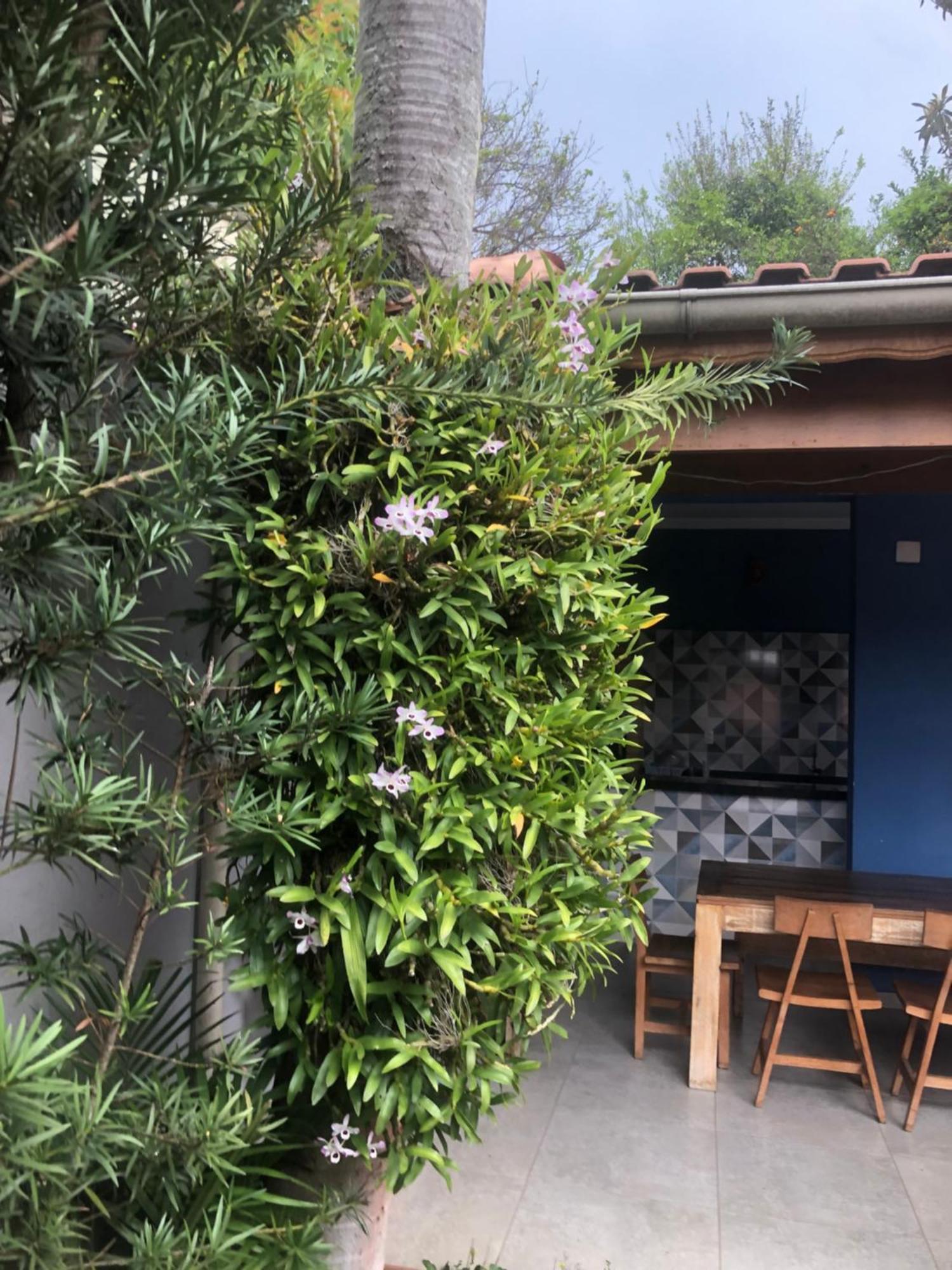 סאו פאולו Hostel Martina, Suite 100M Spexpo מראה חיצוני תמונה