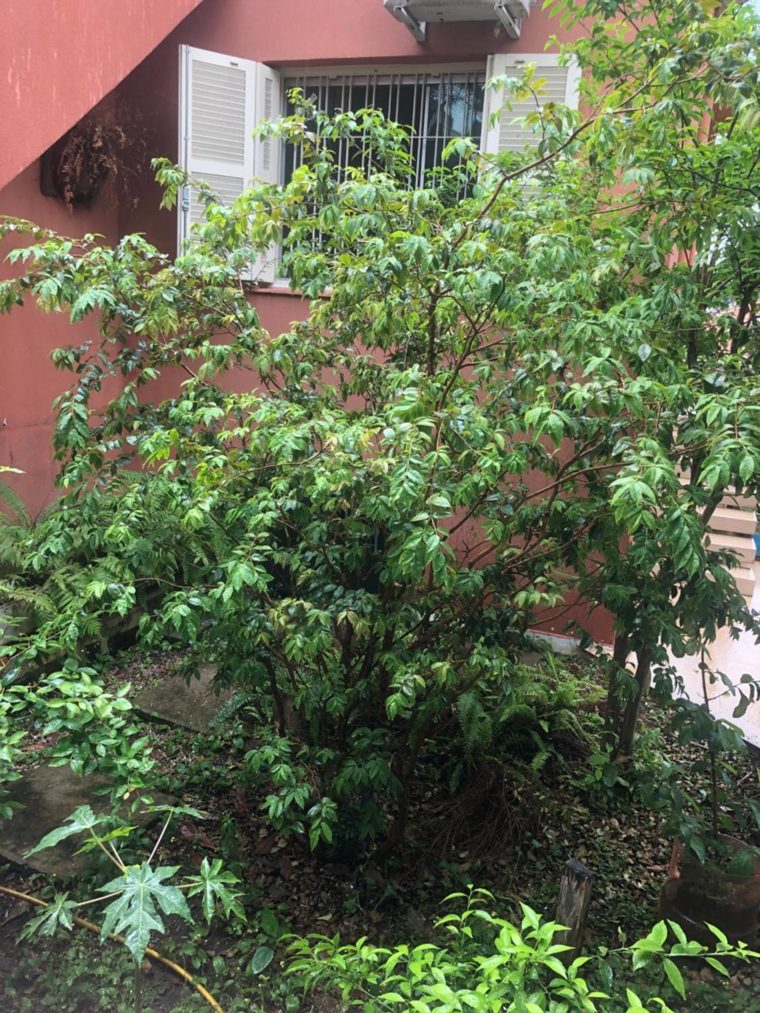 סאו פאולו Hostel Martina, Suite 100M Spexpo מראה חיצוני תמונה